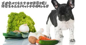 犬に最適な野菜11選
